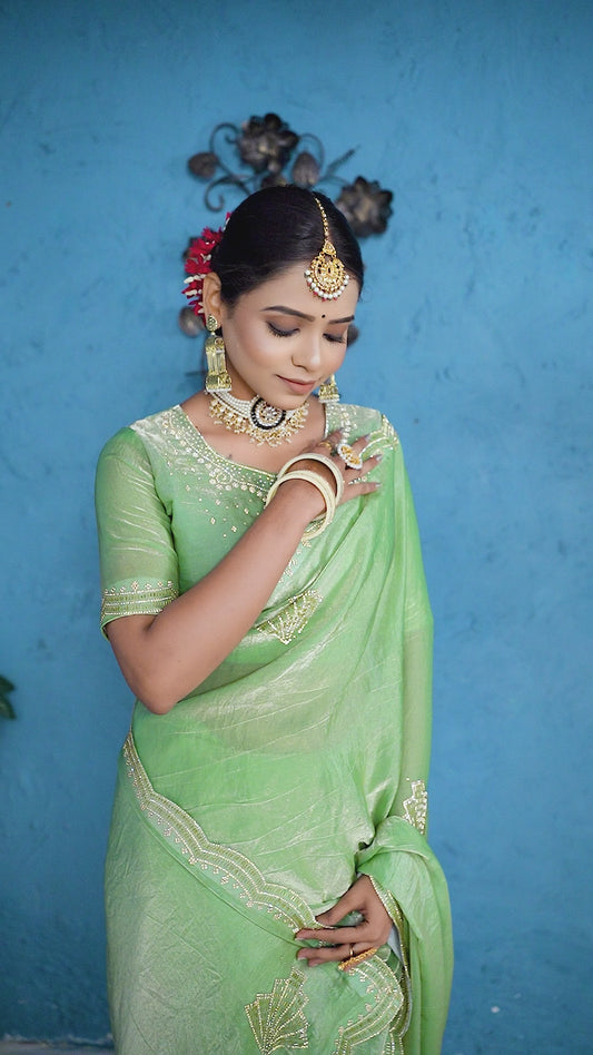 Elegant Light Green Organza Saree with Intricate Embroidery Work